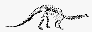 Use these dinosaur skeleton clipart. Dinosaur Skeleton Clipart Hd Png Download Kindpng
