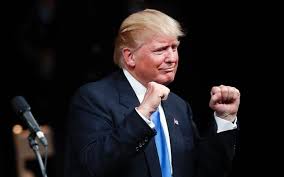 Image result for trump president elect