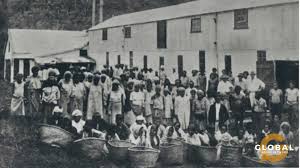 Girmitiya System: A Forgotten History ...