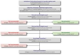 International Consortium Of Vascular Registries Consensus Recommendations For Peripheral Revascularisation Registry Data Collection European Journal Of Vascular And Endovascular Surgery