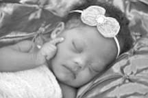 Obituary for Abion Louise Lockhart