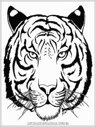 Gambar kepala harimau kartun, gambar harimau kartun mudah, gambar harimau kartun hitam putih, gambar harimau kartun lucu, gambar gajah kartun, gambar kartun singa 14 gambar kartun harimau terbaru kumpulan gambar update. Kumpulan Download Gambar Kartun Harimau Himpun Kartun