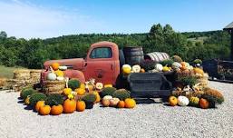 5th annual Tall Pines Fall Festival!