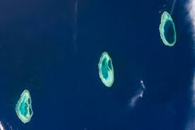 How to use shoal in a sentence. Rowley Shoals Timor Sea