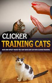 Another beginner reported that in one session she taught the cat to station herself on a little. How To Use A Clicker To Train A Cat