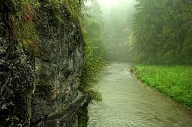 Top slovakia nature & wildlife areas: Samtykke Bemaerkede Ikke Erklaering Slovakia Nature Norm Maternal Stor Eg