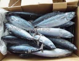 Is canned tuna good for you? High Quality Cheap Price Frozen Fish Canned Tuna Bonito In Oil And In Water With Lower Price Products South Africa High Quality Cheap Price Frozen Fish Canned Tuna Bonito In Oil And In