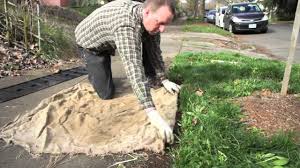 Biobarrier is a new, exciting line of products from barrier biotech. Root Barrier Installation Youtube
