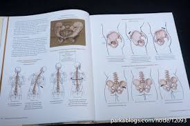 Book Review Classic Human Anatomy In Motion The Artist S Guide To The Dynamics Of Figure Drawing Parka Blogs
