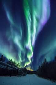 Bluelights Photo By Trevor Gridley National Geographic Your Shot Aurora Borealis Northern Lights Alaska Photography Aurora Boreal