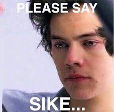 Please Say Sike Harry Styles Funny One Direction Memes Harry Styles Memes