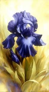 Www Levashov Org Www Levashov Name Www Levashov Info My Opera Is Now Closed Opera Software Iris Art Watercolor Flowers Flower Art