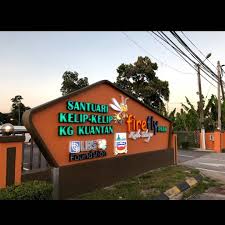 Boats can be hired at kampung kuantan jetty for these nocturnal tours. D Metro Hotel Kelip Kelip Kg Kuantan Ingin Facebook