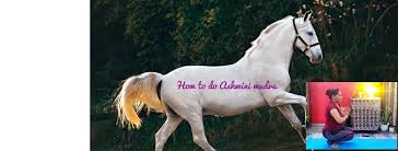 20 Yoga Poses For Constipation And Hemorrhoids Relief Yoga For Immunity Series Yogarsutra