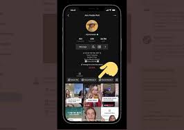Tiktok gives your video three options of visibility; Tiktok Adds Playlist Feature