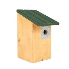 Image result for Flyte Blackbird Nest Box