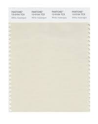 buy pantone smart swatch 12 0104 white asparagus