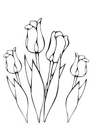 Check spelling or type a new query. Kleurplaat Lente Tulpen Bloemen Tekenen Tulpen Kleurplaten