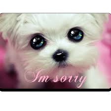 We did not find results for: I M Sorry Free Animation Animated Gif