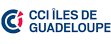 Formalits Export - Mentions lgales