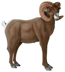 Back in 2008, with the goal of designing a browning type lever action gun, chambered in 500 smith & wesson magnum. Big Horn Ram Stuffed Animal Contemporary Kids Toys And Games By Hansa Creation Usa Houzz