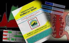 Creighton Model Fertilitycare System