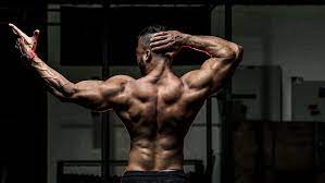 In this section, learn more about the muscles of the. Best Back Exercises The Best Lats Workouts To Reduce Back Pain Gain Muscle And Get A V Shape T3