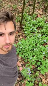 Do you know about this amazing wild onion? Thanks so much to Kyle for  bringing me out to explore an incredible habitat! Check out the link in my  bio to sign up for my newsletter, where I’ll be ...