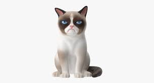 Grumpy Cat 3d Model