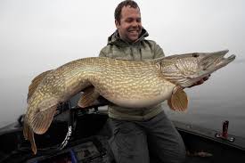 Pike fishing