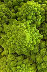 Romanesco Broccoli Esthetique Verte Chou Romanesco Couleurs Nature