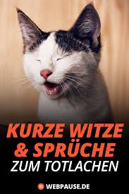 Pin Auf Lustige Spruche Witze