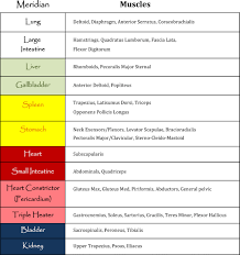 Muscles Meridians Sedation Oh My Ohashi Method