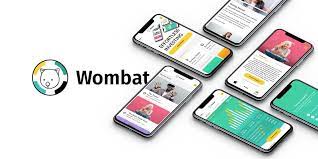 The top 16 best low risk investments with the highest returns: Wombat Invest Now Seeking 250 000 Through New Seedrs Funding Round