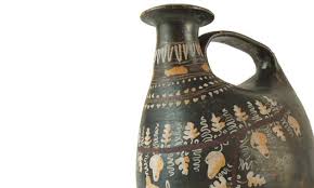 Image result for Dignathia