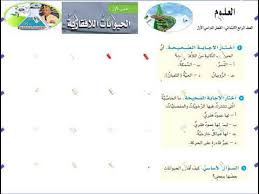 العلوم الرابع الابتدائي المملكة الحيوانية الحيوانات اللافقارية حل اسئلة مراجعة الدرس Youtube