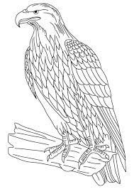 Explore 623989 free printable coloring pages for your kids and adults. Eagle Coloring Page Coloring Home
