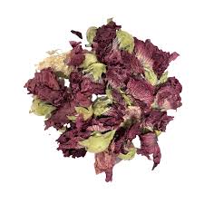 Image result for Matthiola