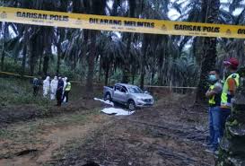 Kelapa sawit is a small town in kulai district johor malaysia. Mayat Suspek Larikan Kenderaan Ditemui Reput Di Ladang Kelapa Sawit Astro Awani