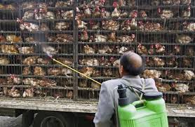 China's leaders base their right to rule on how effectively they have managed what is soon to be the world's largest economy. Ts6aro15bordfm