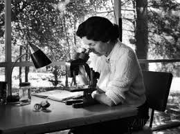 Biologist Author Rachel Carson Working With Microscope At Her Home Premium Photographic Print Alfred Eisenstaedt Allposters Com In 2021 Rachel Carson Scientist Biologist