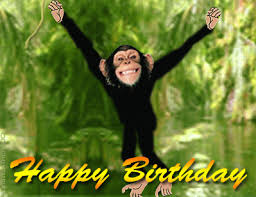 50 Funny Happy Birthday Gif Pictures Happy Birthday Funny Funny Happy Birthday Gif Birthday Humor