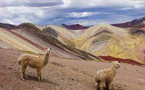 Visite de Palccoyo au Pérou : la montagne arc-en-ciel - Terra Peru