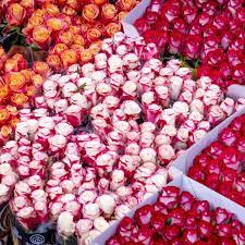 Dreisbach wholesale florists is the. Why Holland Flower Alliance