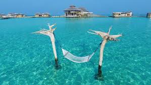 Maybe you would like to learn more about one of these? Hotel Sur Pilotis Maldives Environmentalhealthinfo