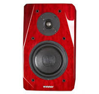 Kína Tonewinner nagykereskedelmi high-end Hi-Fi hangszóró ...
