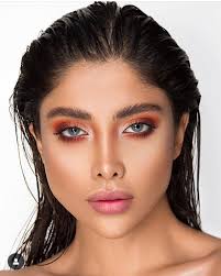 Nada fadel lenses.jor