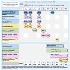 One treatment for immunodeficiency may be a bone marrow transplant. Immunodeprimes Et Vacination Grippe Pneumocoque Symptomes Traitement Definition Docteurclic Com