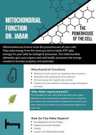 Maybe you would like to learn more about one of these? What Is Mitochondrial Dysfunction Dr Jaban D C