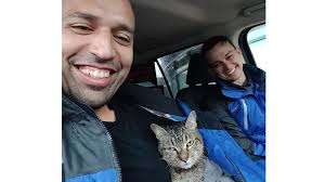 Journalists covering Hurricane Milton rescue cat stranded under their car